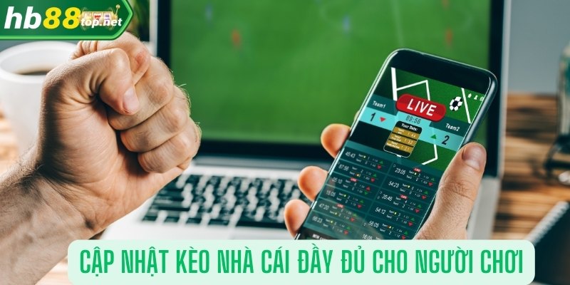 Cập nhật kèo nhà cái đầy đủ cho người chơi