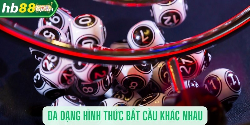 Đa dạng hình thức bắt cầu khác nhau