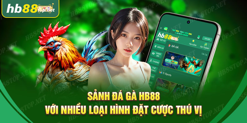 Khám phá sảnh cược đá gà HB88 hấp dẫn