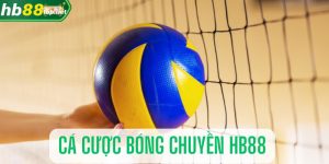 Giải thích cá cược môn bóng chuyền cùng sảnh cược HB88