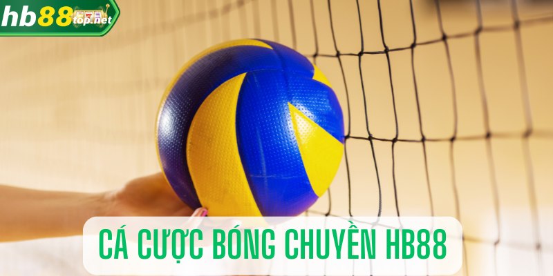 Giải thích cá cược môn bóng chuyền cùng sảnh cược HB88