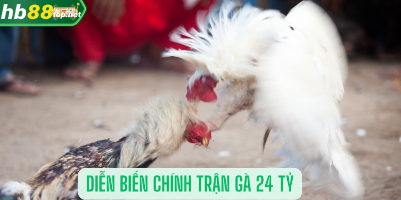 Diễn biến chính trận gà 24 tỷ