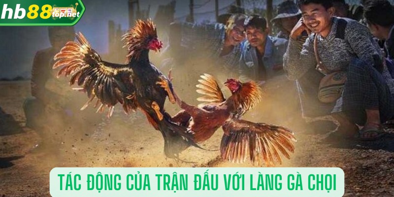 Tác động của trận đấu với làng gà chọi